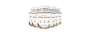 Nutripath Giloy Extract 40%- 6 Bottle 